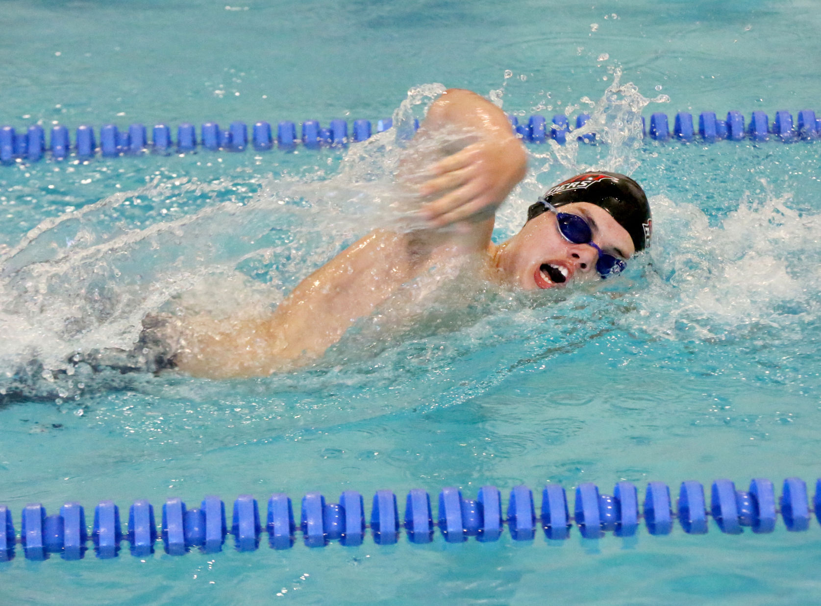 Ocean City Ridley Swimming